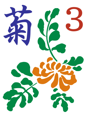 Chrysanthemum